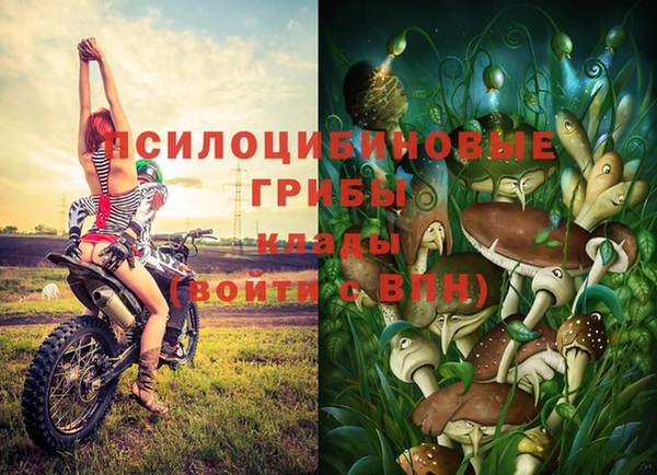 хмурый Дмитровск