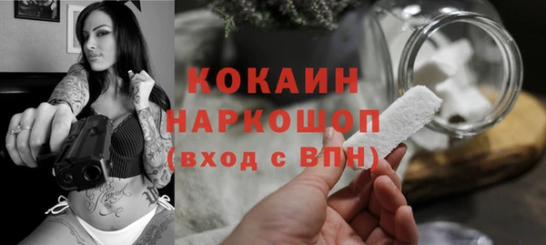 хмурый Дмитровск