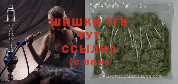 индика Санкт-Петербург