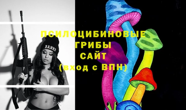 скорость Дмитриев