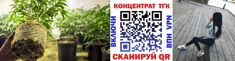 Дистиллят ТГК жижа продажа наркотиков Дубовка
