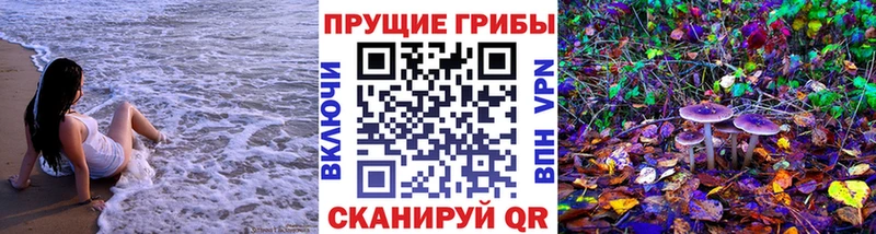 блэк спрут сайт  Дубовка  Псилоцибиновые грибы Cubensis 
